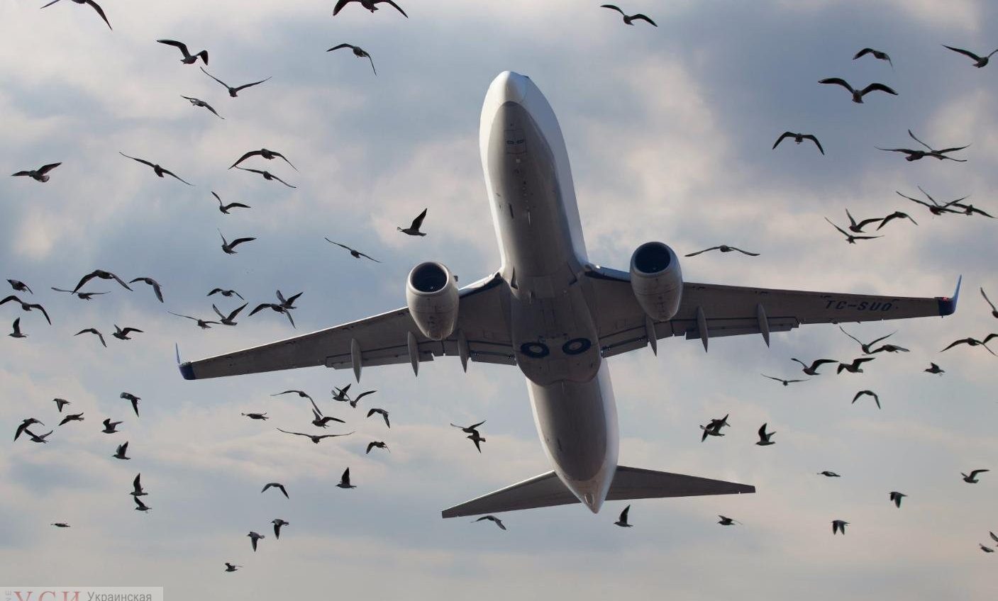 Самолет рейса “Москва-Кишинев” совершил вынужденную посадку в Одессе из-за непогоды в Молдове «фото»