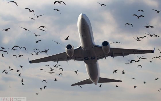 Самолет рейса “Москва-Кишинев” совершил вынужденную посадку в Одессе из-за непогоды в Молдове «фото»