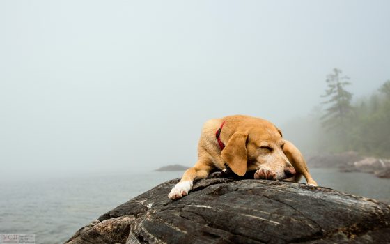 В Одессе штормовое предупреждение: сильный туман окутает город «фото»