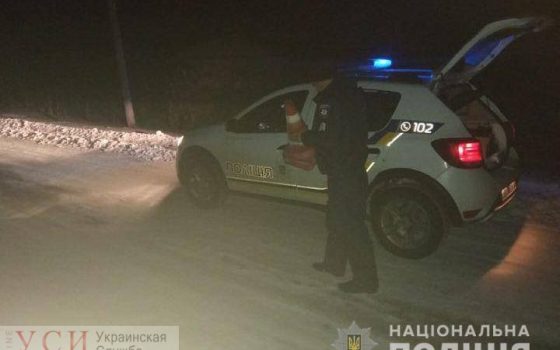 На Севере Одесской области водитель сбил двух девочек и скрылся (фото) «фото»