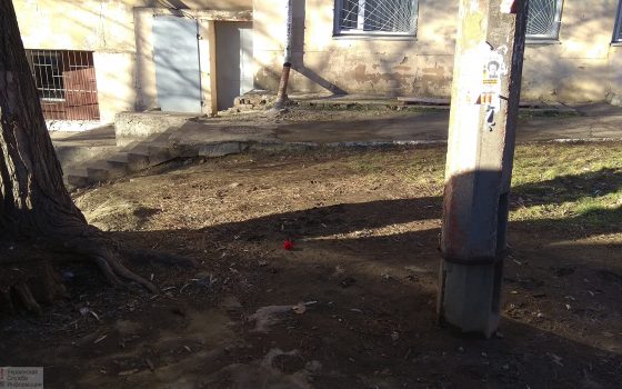 Годовщина стрельбы на Новосельского: на место гибели полицейского принесли лишь одну гвоздику (фото) «фото»
