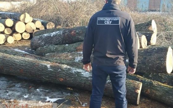 В Одесской области чиновники лесхоза под видом проведения санитарных порубок рубили и продавали лес (фото) «фото»