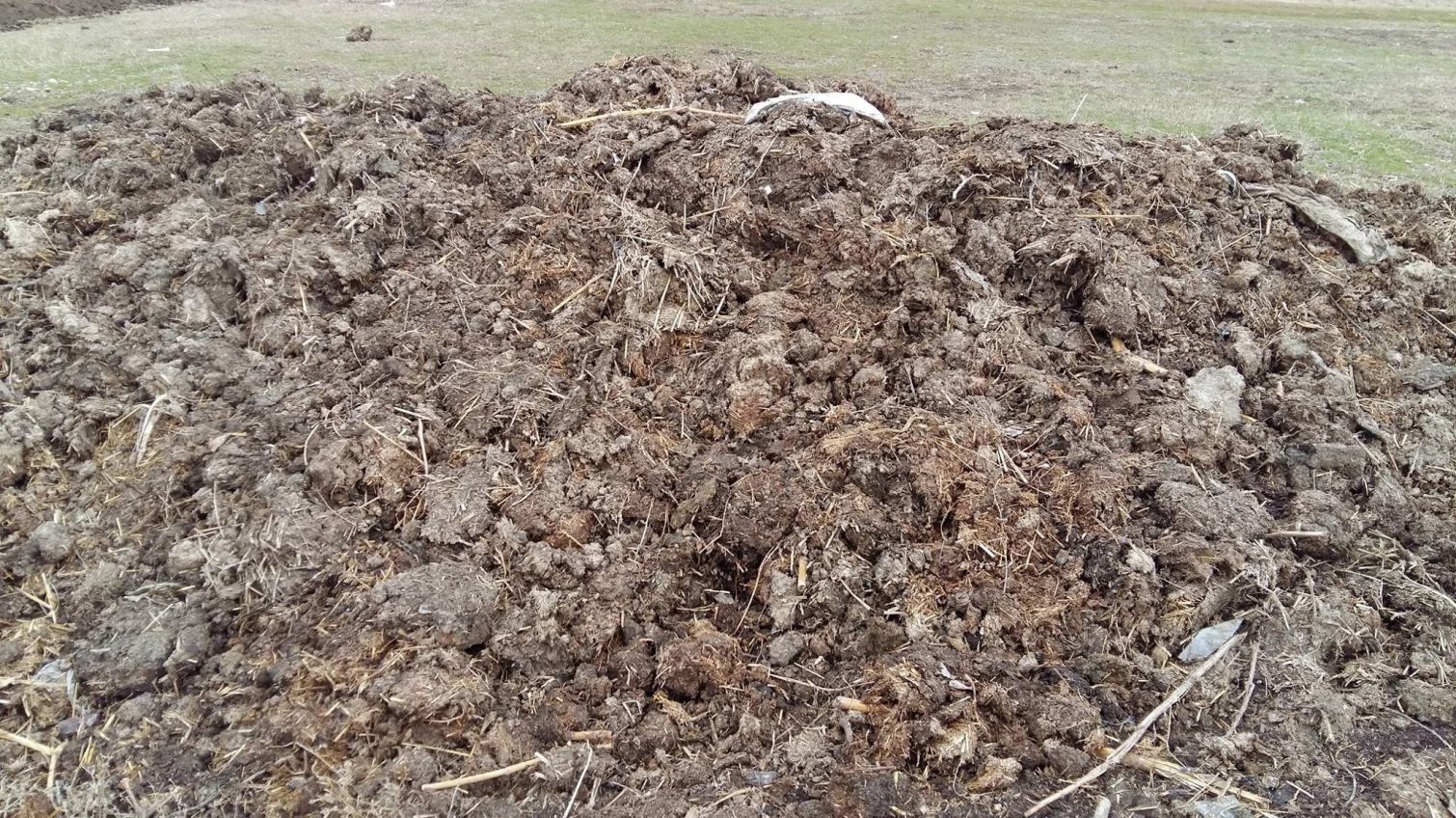В нацпарке “Тузловские лиманы” обнаружили скотомогильник и свалку навоза (фото) «фото»