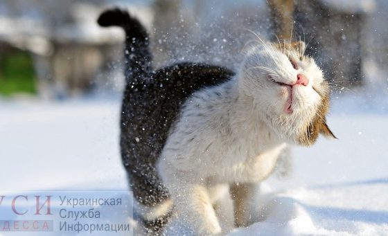 В воскресенье в Одессе резко потеплеет, осадков не будет «фото»