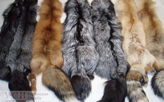 Одесский маркет “Гешефт” выступил против убийства животных, отказавшись от продажи изделий из меха «фото»