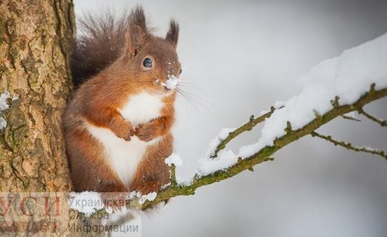 В понедельник одесситов ожидает похолодание и переменная облачность «фото»