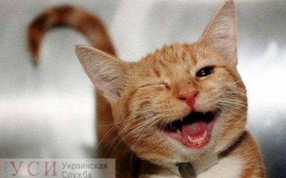 Погода в Одессе: утро будет хмурым, а до обеда возможен мокрый снег «фото»