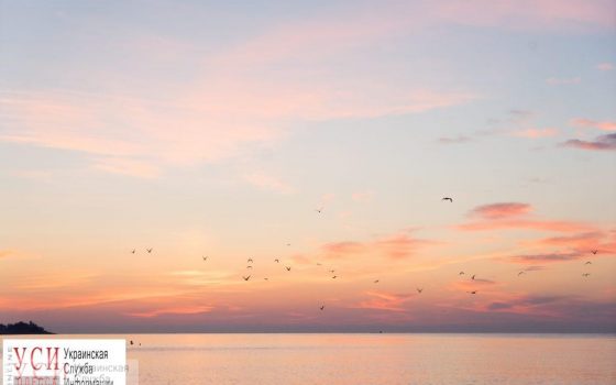 Из Затоки в Буковель на вертолете: в Украине создадут линии воздушных пассажирских перевозок по курортам «фото»