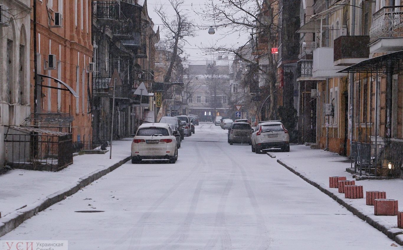 Рождественское чудо: первый январский снег украсил одесские улицы (фоторепортаж) «фото»