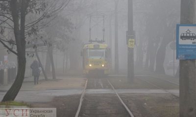 Призрачная красота: Одессу накрыл густой туман (фоторепортаж) «фото»