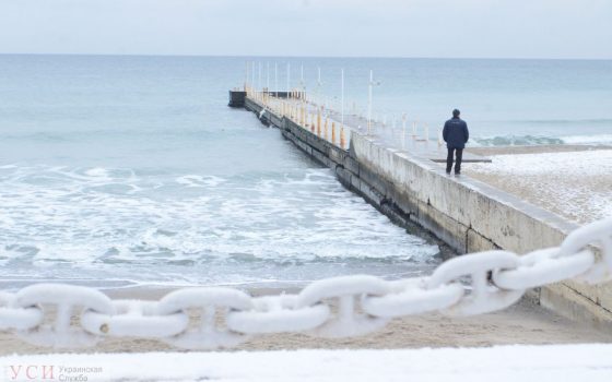 Пустая утренняя Аркадия и кормление чаек на заснеженном побережье (фоторепортаж) «фото»