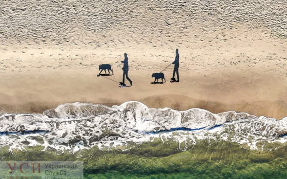 Фотография 13-й станции Фонтана с дрона одесского фотографа заняла призовое место на конкурсе во Франции «фото»