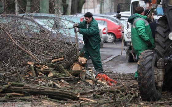 Рабочие убрали огромное дерево, рухнувшее на Елисаветинской (фото) «фото»