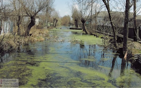 В Вилково 89-летняя женщина с крыльца упала в канал и утонула «фото»