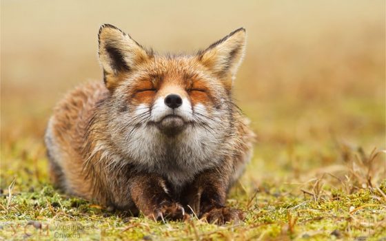 Одессу ожидает легкое похолодание и солнечный день «фото»