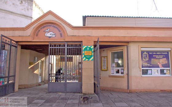 В Одессе обещают привести в порядок зоопарк, но пока не выделили из бюджета на это финансирование «фото»