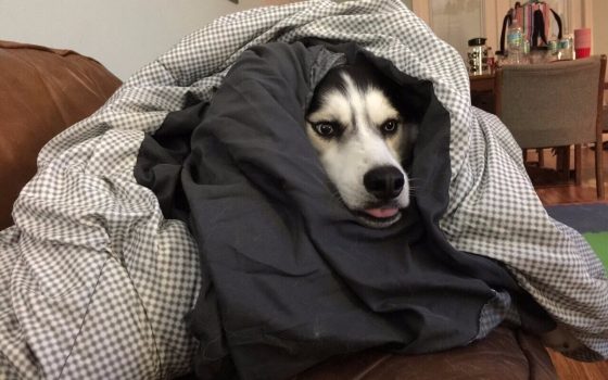 В Одессе будет облачно: синоптики обещают похолодание «фото»