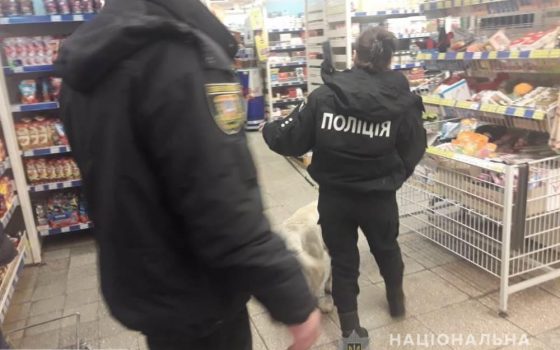 Пьяная одесситка угрожала полицейским взорвать супермаркет в Малиновском районе (фото) «фото»