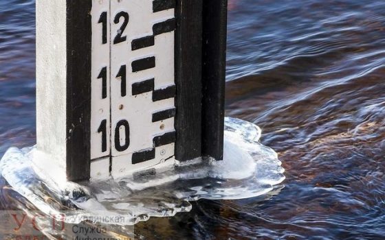 Дунай может выйти из берегов: для пароходства это грозит обернуться непредвиденными затратами «фото»