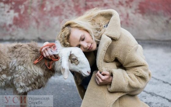 В центре Одессы в воскресенье пройдет акция зоозащитников “Снимай мех навсегда”  «фото»