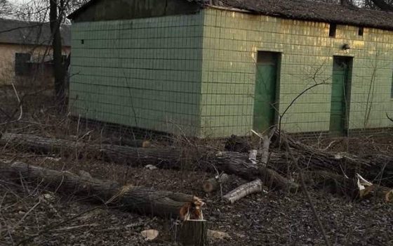 На Таирова в частном секторе незаконно спиливают деревья (фото) «фото»