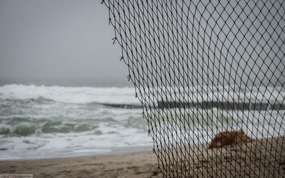 На одесском побережье туман и неспокойное море (фоторепортаж) «фото»