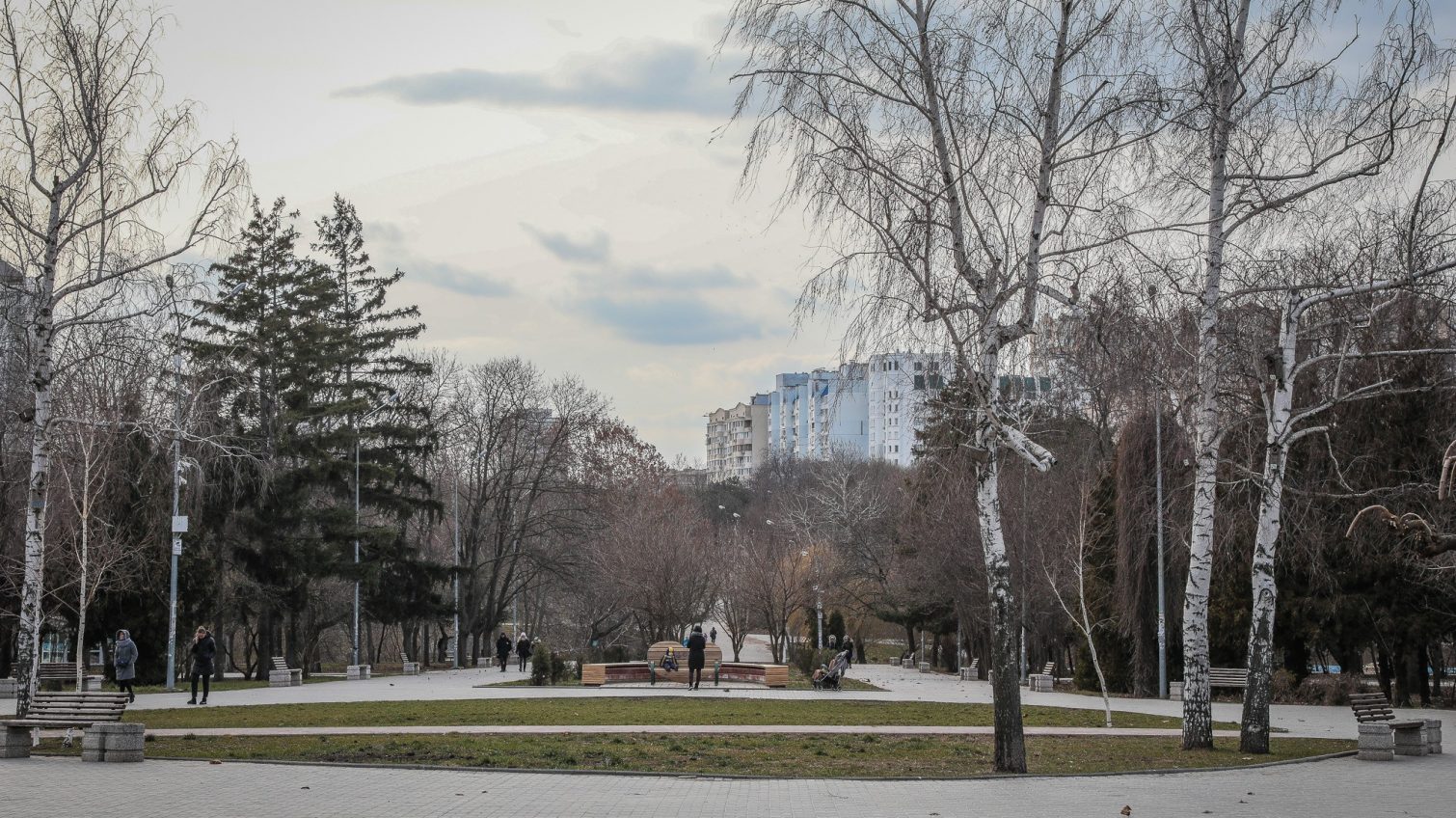 Февральский будний день в парке Победы (фоторепортаж) «фото»