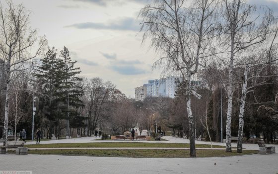 Февральский будний день в парке Победы (фоторепортаж) «фото»