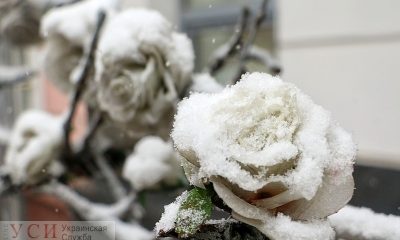 Одесса в снегу: как непогода накрыла город (фоторепортаж) usionline.com Одесса в снегу: как непогода накрыла город (фоторепортаж) «фото»
