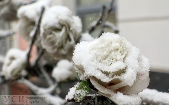 Одесса в снегу: как непогода накрыла город (фоторепортаж) «фото»