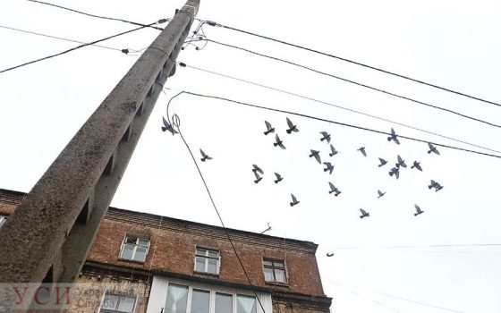 Там где “совок” встречается со старой Одессой: улица Разумовская при свете дня (фоторепортаж) «фото»