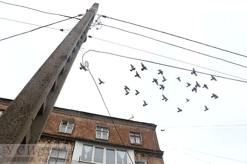 Там где “совок” встречается со старой Одессой: улица Разумовская при свете дня (фоторепортаж) «фото»