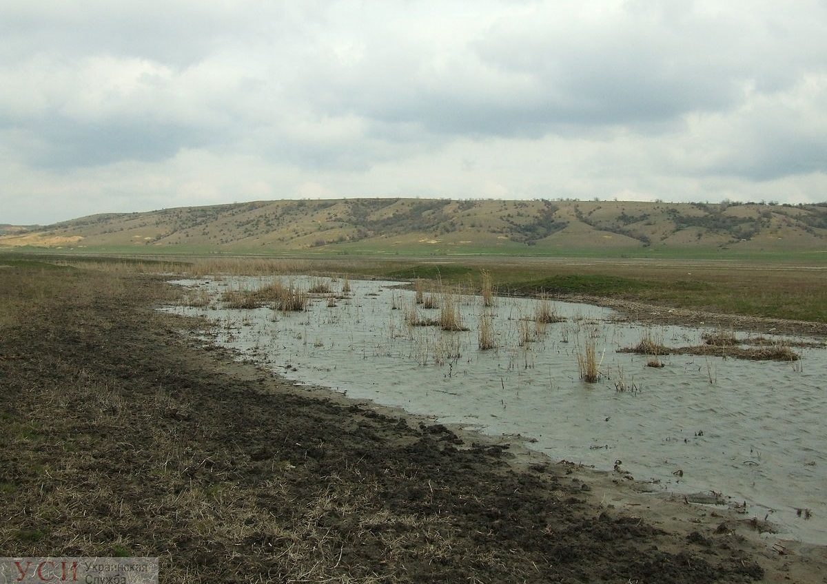 В Одессе планируют спасать речку Большой Куяльник ради сохранения уникальных лечебных грязей, а берега водоема жестко охранять «фото»