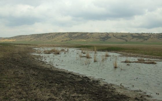 В Одессе планируют спасать речку Большой Куяльник ради сохранения уникальных лечебных грязей, а берега водоема жестко охранять «фото»