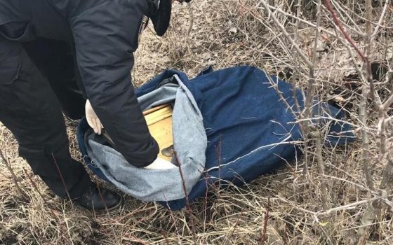 Пограничники с собакой нашли в лесу украденные из церкви в Одесской области иконы (фото) «фото»