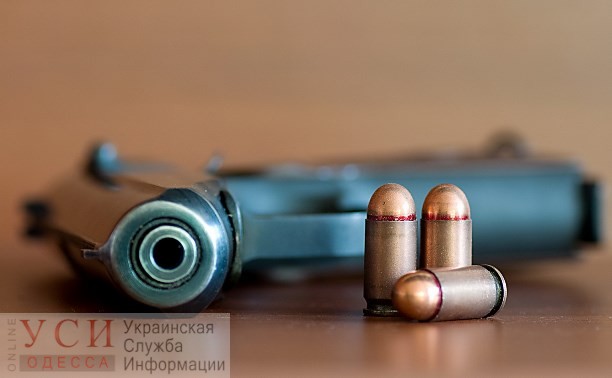 Патроны, найденные у грузин, не подходят к пистолету, которым вероятно стреляли в Михайлика «фото»