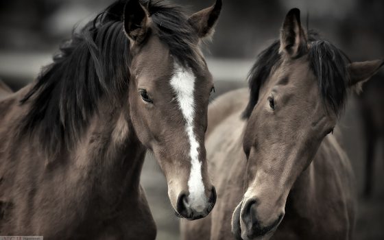 В Одессе будет пасмурный день «фото»