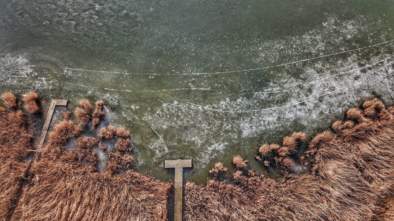 Малодолинская романтика: Пиляевский пруд с высоты полета (фото) «фото»