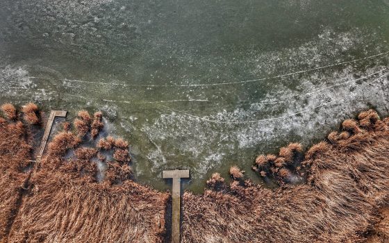 Малодолинская романтика: Пиляевский пруд с высоты полета (фото) «фото»