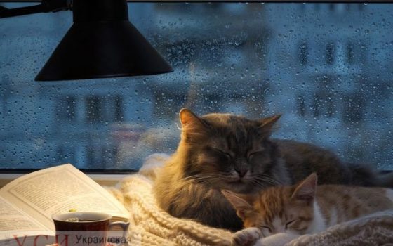 Пятница в Одессе будет пасмурной и сырой «фото»