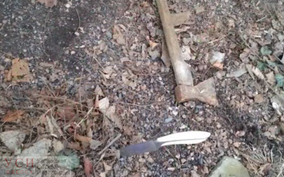В Измаиле патрульные полицейские задержали убийцу с ножом и топором (видео) «фото»