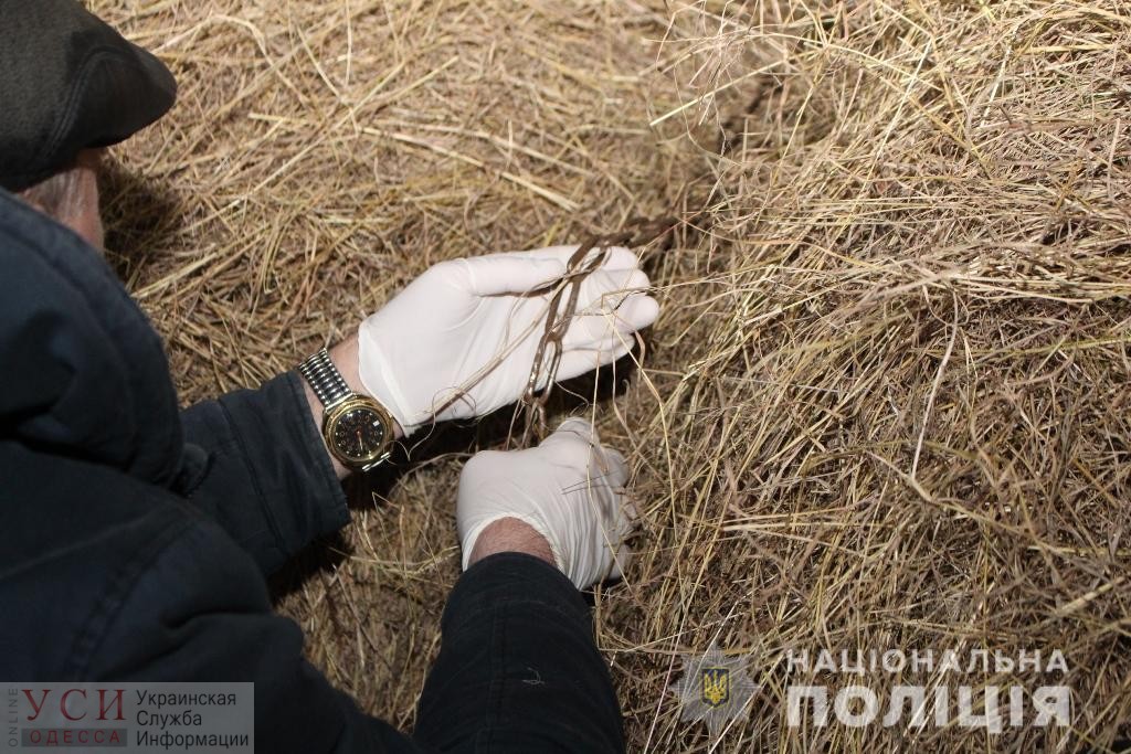 В Подольском районе школьник удушился цепью, играя в стоге сена (фото) «фото»