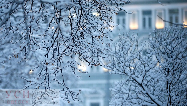 На Одессу надвигается снегопад «фото»