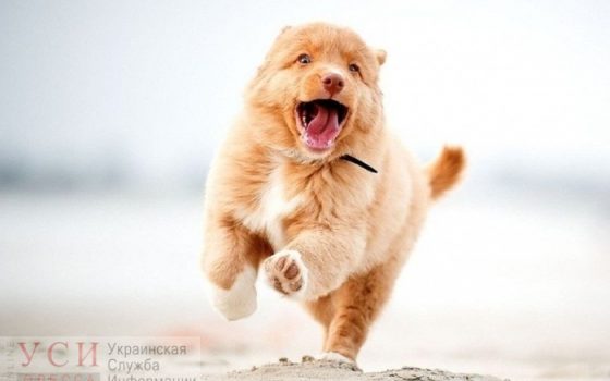 В Одессе продолжается солнечная погода без осадков «фото»