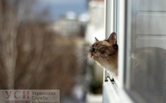 Одесситам обещают солнечное и безветренное воскресенье «фото»