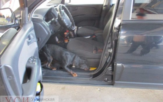Пограничники со служебной собакой задержали машину с оружием в Одесской области (фото) «фото»