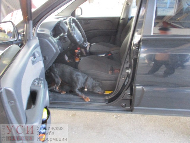 Пограничники со служебной собакой задержали машину с оружием в Одесской области (фото) «фото»