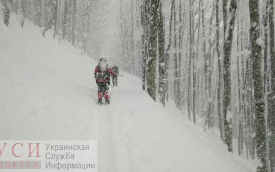 В Карпатах ищут одесских туристов, которые пропали при спуске с Говерлы «фото»