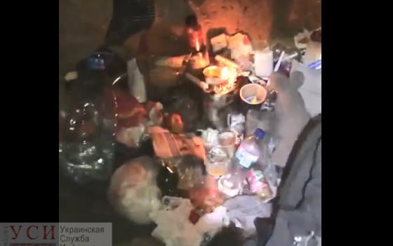 На Трассе здоровья ради детской площадки замуровали бездомную (видео) «фото»