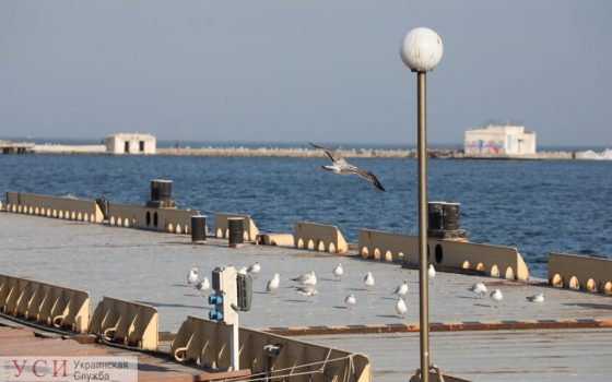 Прощай, Французский бульвар, кражи на одесской взлетке и борьба за Летний театр – итоги недели «фото»